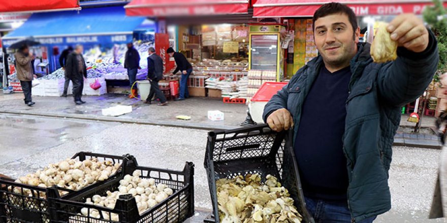 Bu mantarı tadan, diğerlerine elini sürmüyor