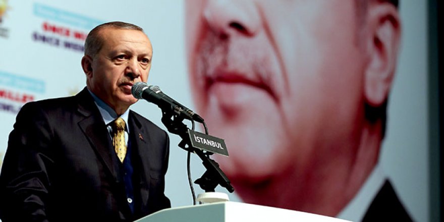 Cumhurbaşkanı Erdoğan: 'İnlerinde bastık ve imha ettik'