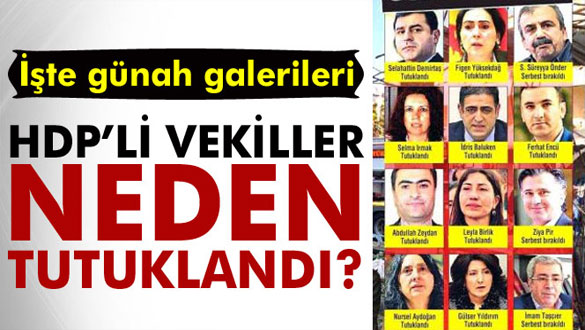 HDP'li vekillerin sicilleri kabarık! İşte günah galerileri
