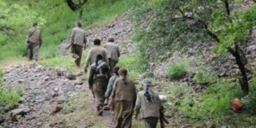 Teslim olan terörist: 'Çocuklarınıza sahip çıkın'