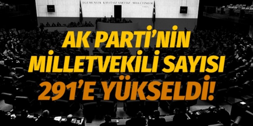AK Parti'nin milletvekili sayısı 291'e yükseldi!