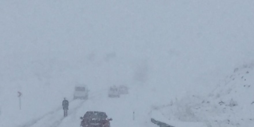 Ardahan'da yoğun kar yağışı ve tipi: Araçlar yolda mahsur kaldı