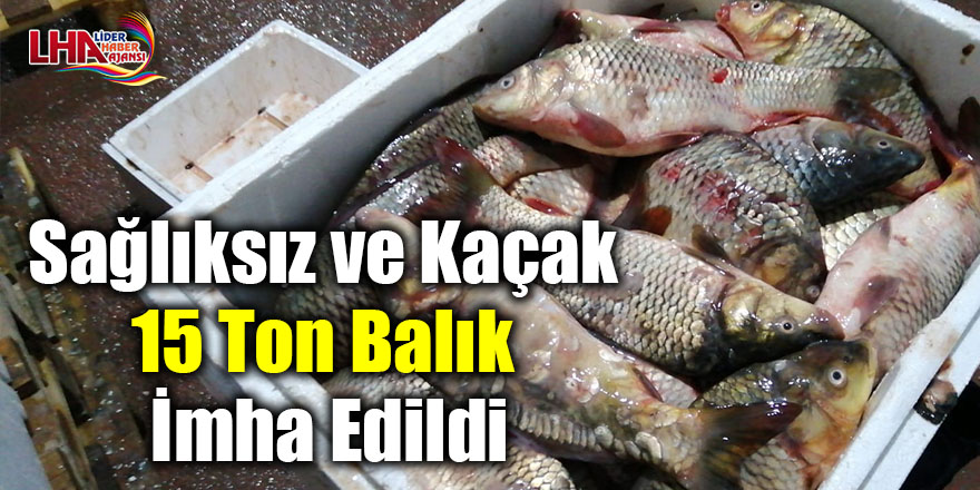 Sağlıksız ve Kaçak 15 Ton Balık İmha Edildi