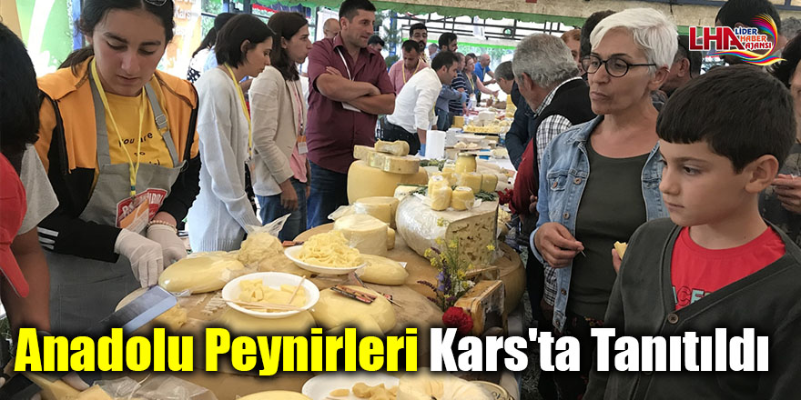 Anadolu peynirleri Kars'ta tanıtıldı