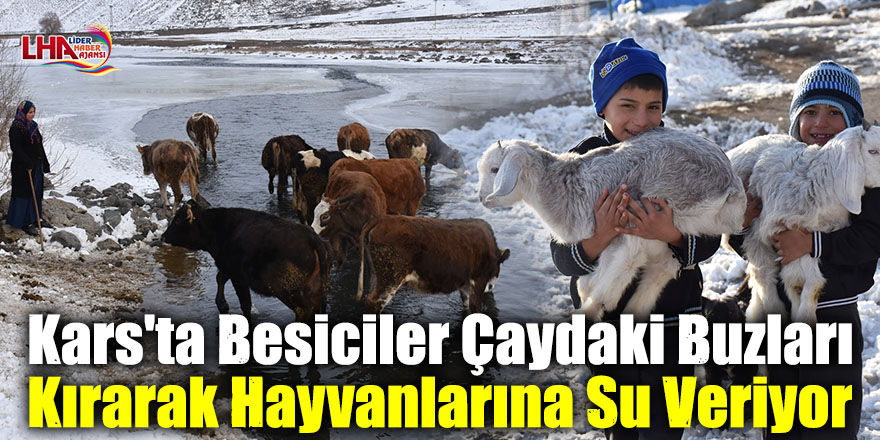 Kars'ta Besiciler Çaydaki Buzları Kırarak Hayvanlarına Su Veriyor