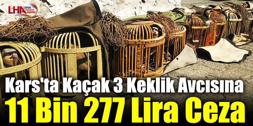 Kars'ta Kaçak 3 Keklik Avcısına 11 Bin 277 Lira Ceza