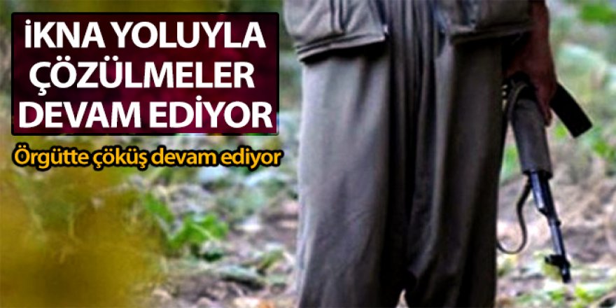 Terör örgütünden ikna yoluyla teslim olmalar devam ediyor