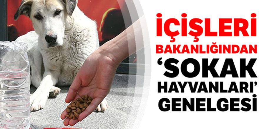 İçişleri Bakanlığından 'sokak hayvanları' genelgesi