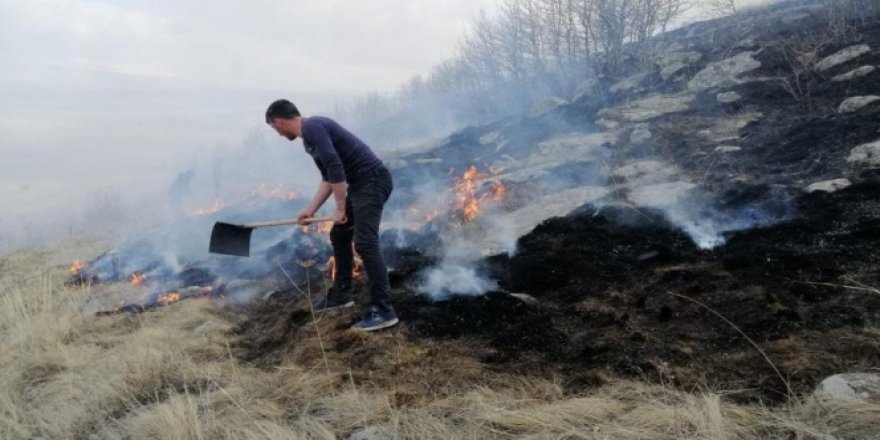 Ardahan'da orman yangını kontrol altına alındı