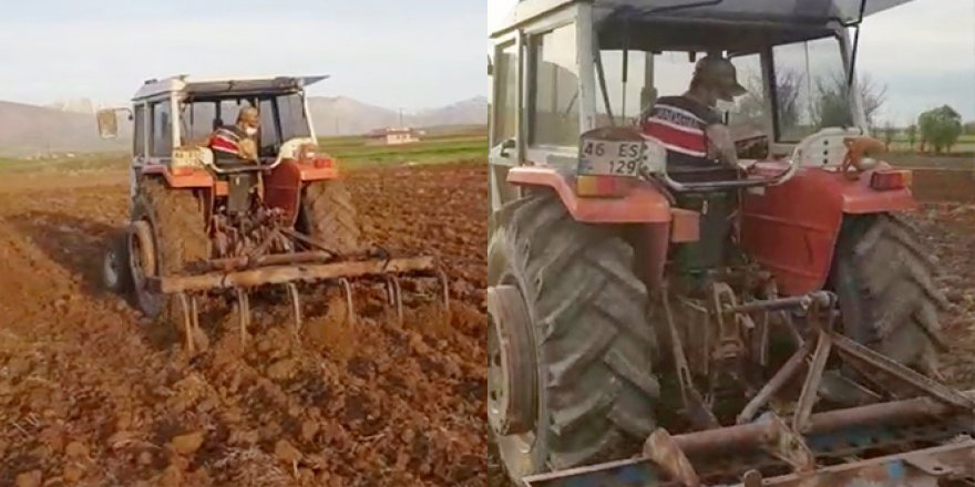 Yaşlı çiftçinin tarlasını jandarma sürdü