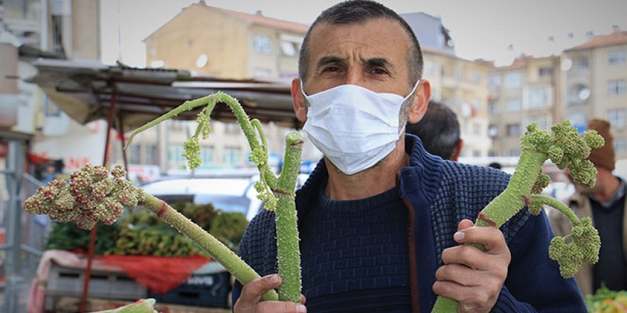 Korona'ya karşı birebir Doğu'nun muzu 'Işkın' ama talep az