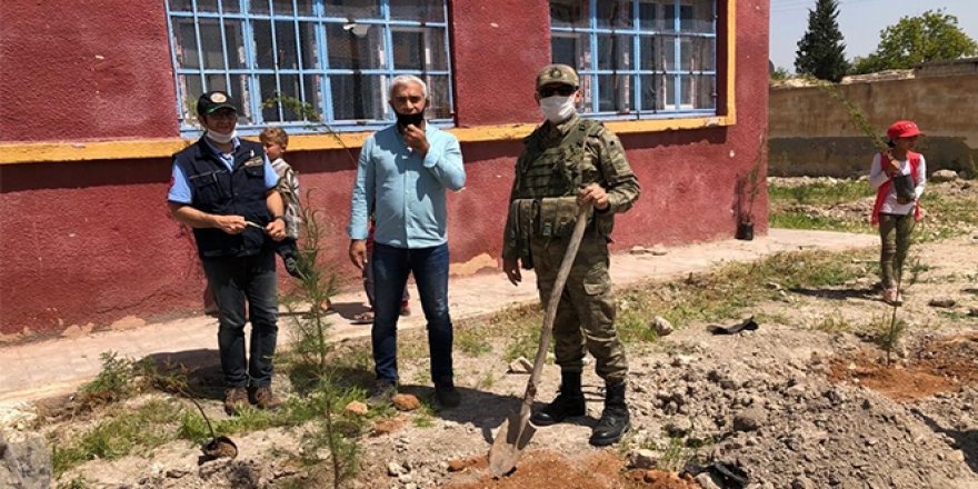 Barış Pınarı bölgesinde içme suyu ve ağaçlandırma faaliyetleri sürüyor