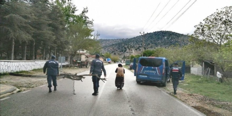 Jandarma odun taşımakta zorlanan yaşlı kadının imdadına yetişti