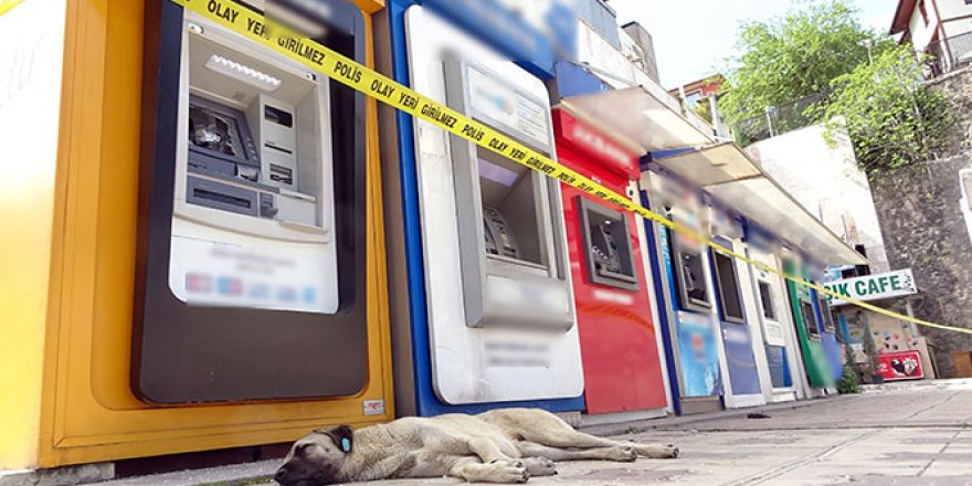 Babasına kızıp ATM'leri parçalayan kadın: 'Cinnet geçirdim'