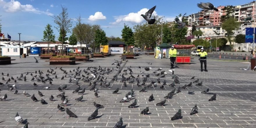 Trafik polisleri sokağa çıkma kısıtlamasında güvercinleri unutmadı