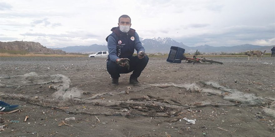 Avladığı 150 kilogram balığı bırakıp kaçtı