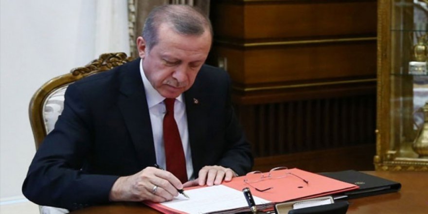 Cumhurbaşkanı Erdoğan 19 kanunu onayladı