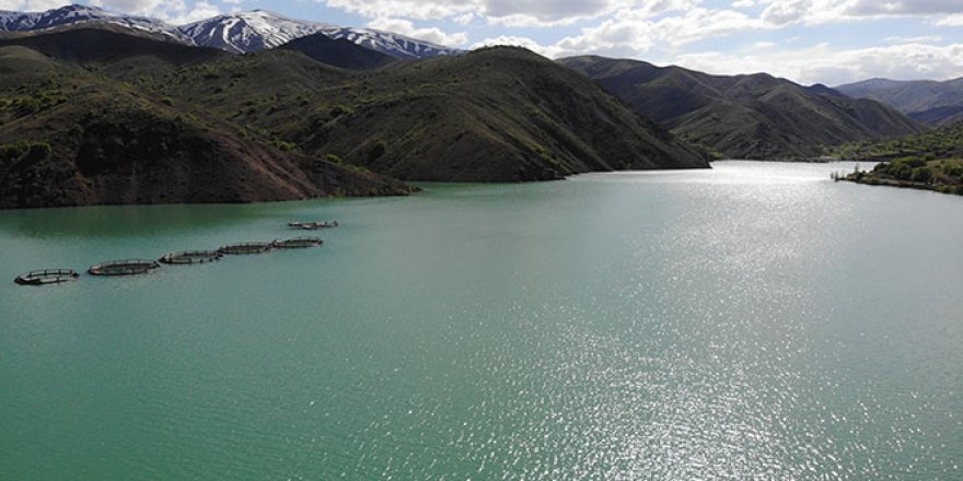 Karların erimesiyle Erzincan'daki barajlarda doluluk oranı arttı