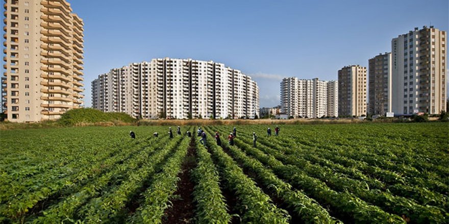 Sürdürülebilir tarım için ekim nöbeti sistemi doğru uygulanmalı