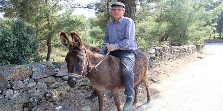 Yaşa takılmadan emektar eşeğinin sırtında dolaşıyor