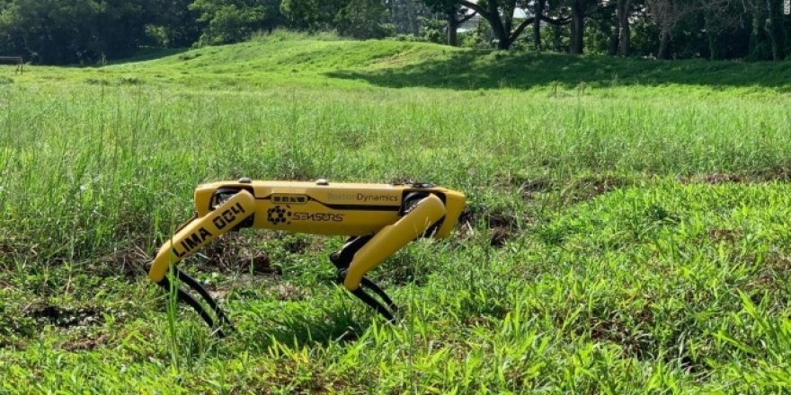 Singapur'dan koronaya karşı 'robot köpek' önlemi