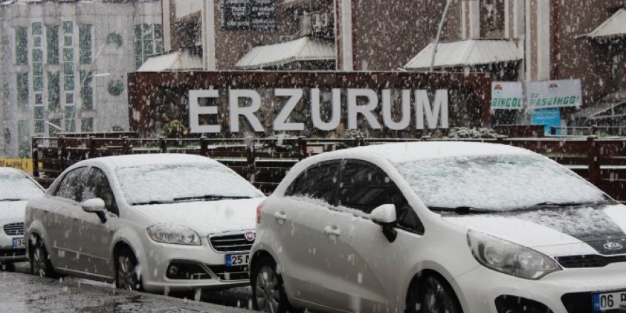 Erzurum'da baharı beklerken kış geri geldi