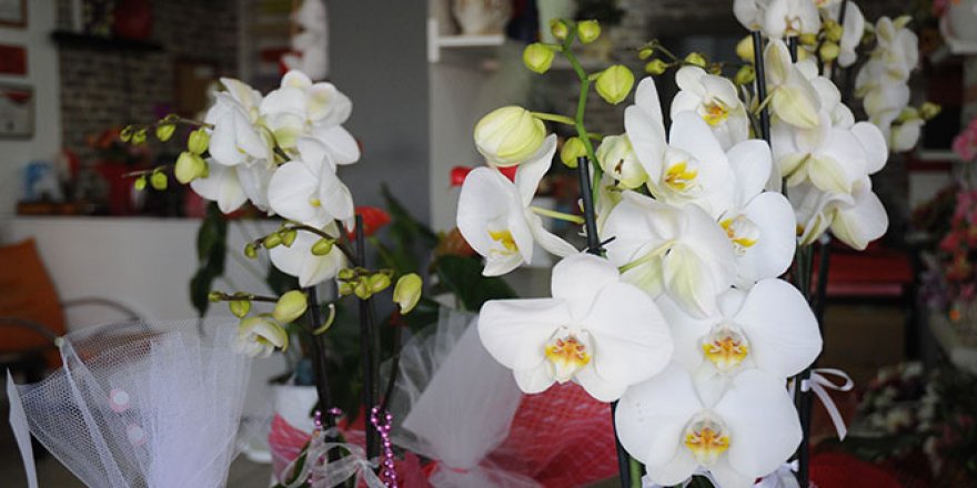 Anneler Günü'nde çiçek satışları geçmiş senelere göre rekor kırdı
