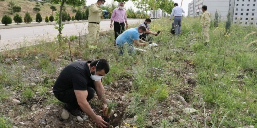 Karantinadan ayrılırken hatıra olarak 292 fidanı toprakla buluşturdular