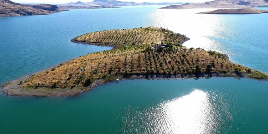 Ziya Dede'nin Adasında Vefa hizmeti