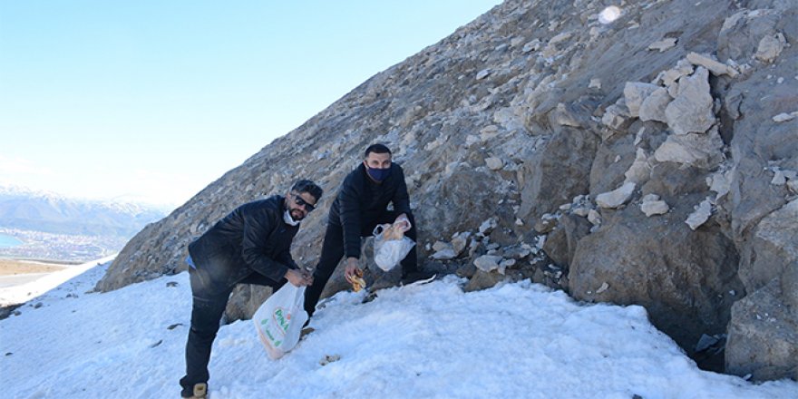 Kış uykusundan uyanan ayılar için Nemrut Dağı'na yiyecek bırakıldı