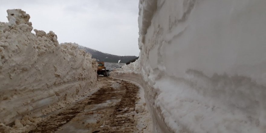 Trabzon'da karla kaplı yayla yolları açılıyor