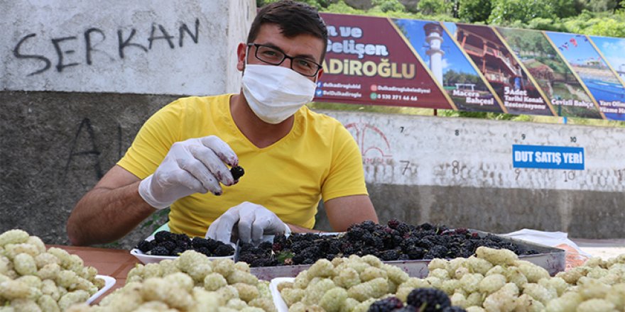 Şifa deposu ‘dut' tezgahlarda yerini aldı