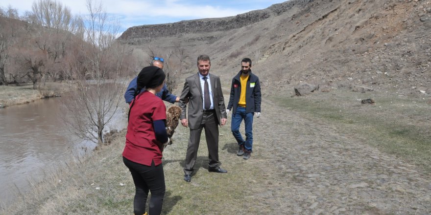 Tedavisi tamamlanan kaya kartalı doğaya bırakıldı