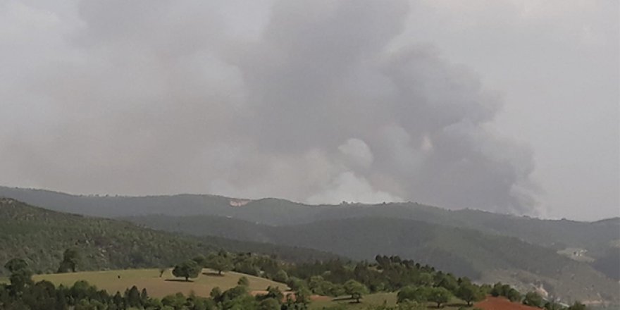 Kütahya'da orman yangını