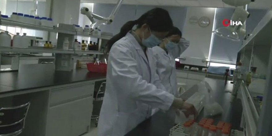 Çin aşı çalışmaları testlerine temmuzda başlıyor