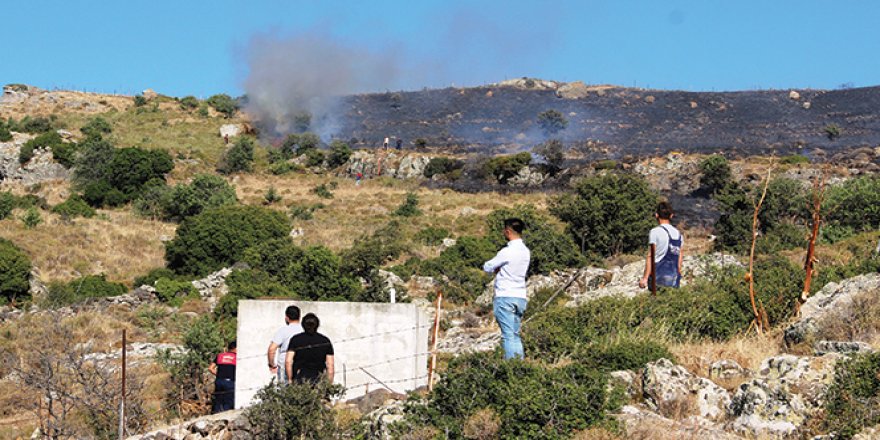 Bodrum'da korkutan yangın