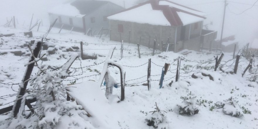 Giresun yaylalarında mayıs karı yaylacıları şaşırttı