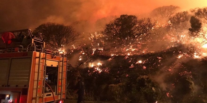 Antalya'nın Kaş ilçesindeki orman yangını kontrol altına alındı