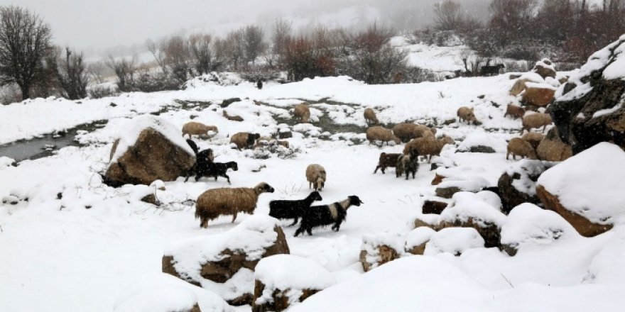 Koyunlarını yaylaya çıkaran vatandaşa Mayıs ayında kar ve tipi sürprizi