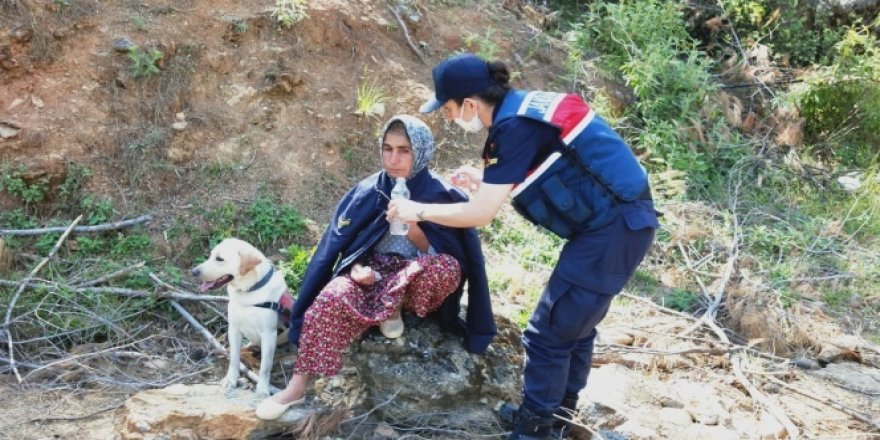 Kayıp olarak aranan kadın ormanlık alanda bulundu