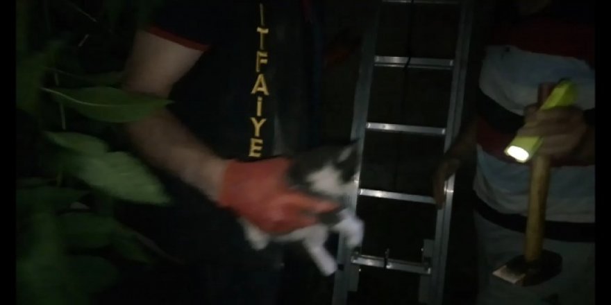 Havalandırma boşluğuna düşen kedi kurtarıldı