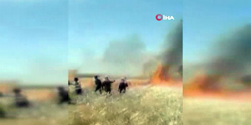 YPG/PKK 10 bin dönümden fazla tarım arazisini yaktı