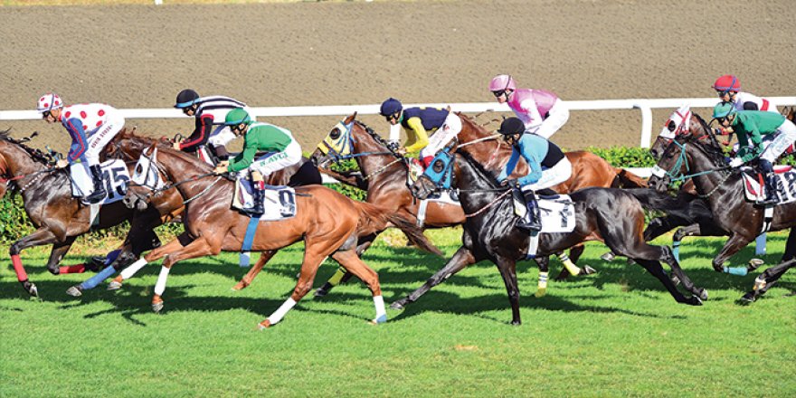 At Yarışları 10 Haziran'da yeniden başlıyor