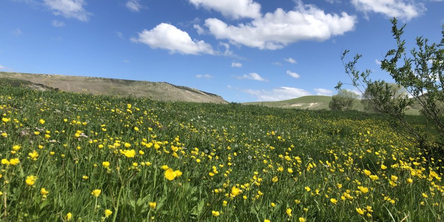 Kars 4 mevsim bir başka güzel