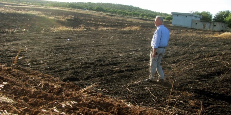 Araban'da Hasat bekleyen 45 dönüm arpa kül oldu