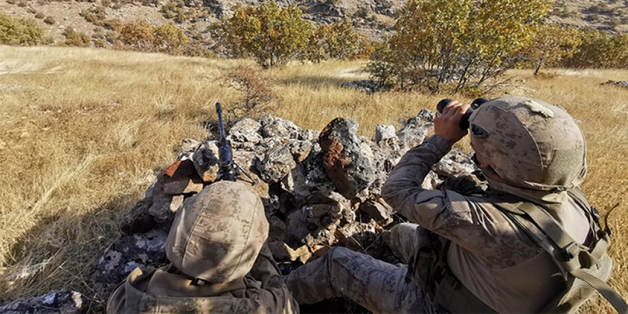 Mardin'de terör örgütü PKK ve işbirlikçilerine şafak vakti operasyon