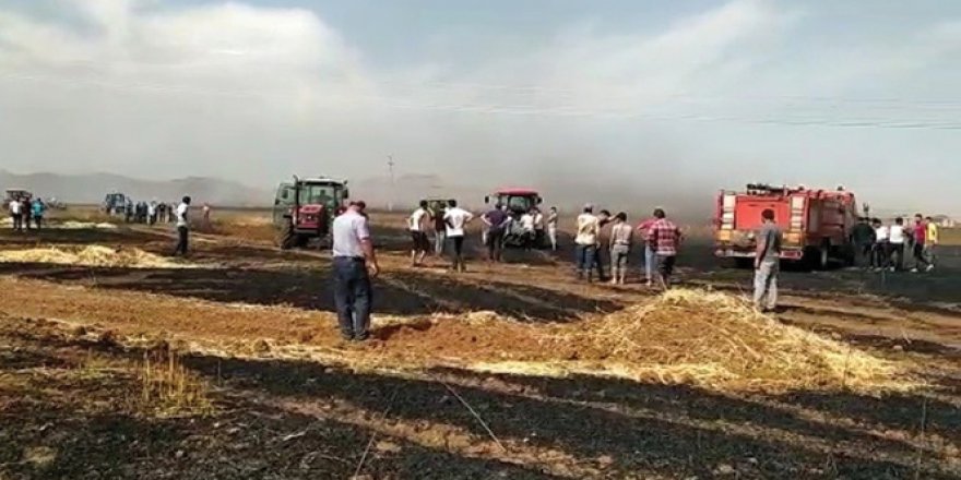 Ateşe verip kaçtılar, 600 dönüm buğday ekili tarla küle döndü