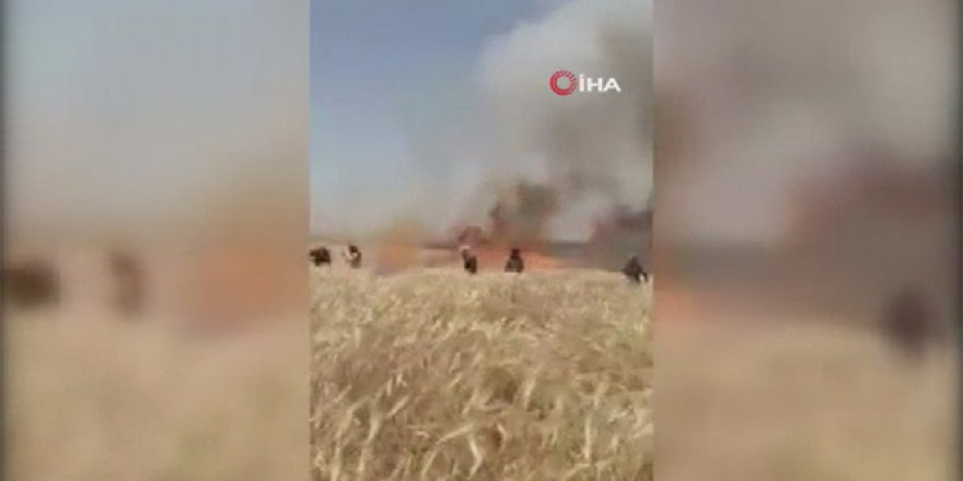 Terör örgütü YPG/PKK, sivillerin tarım arazisini yakmaya devam ediyor