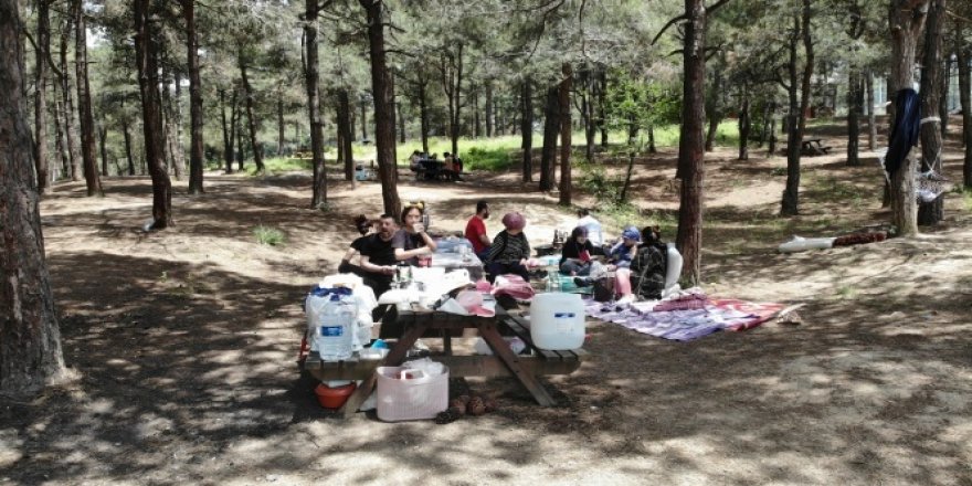 Yasağın kalkmasıyla vatandaşlar piknik alanlarına akın etti