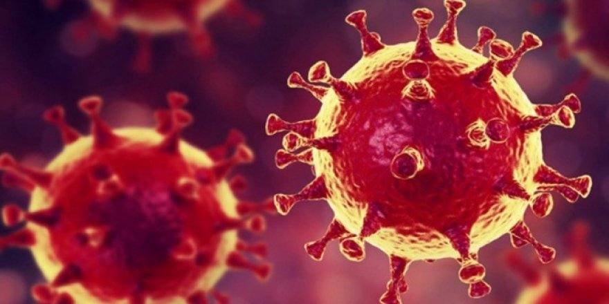 ABD'de koronavirüse bağlı can kayıpları 112 bin 141'e ulaştı